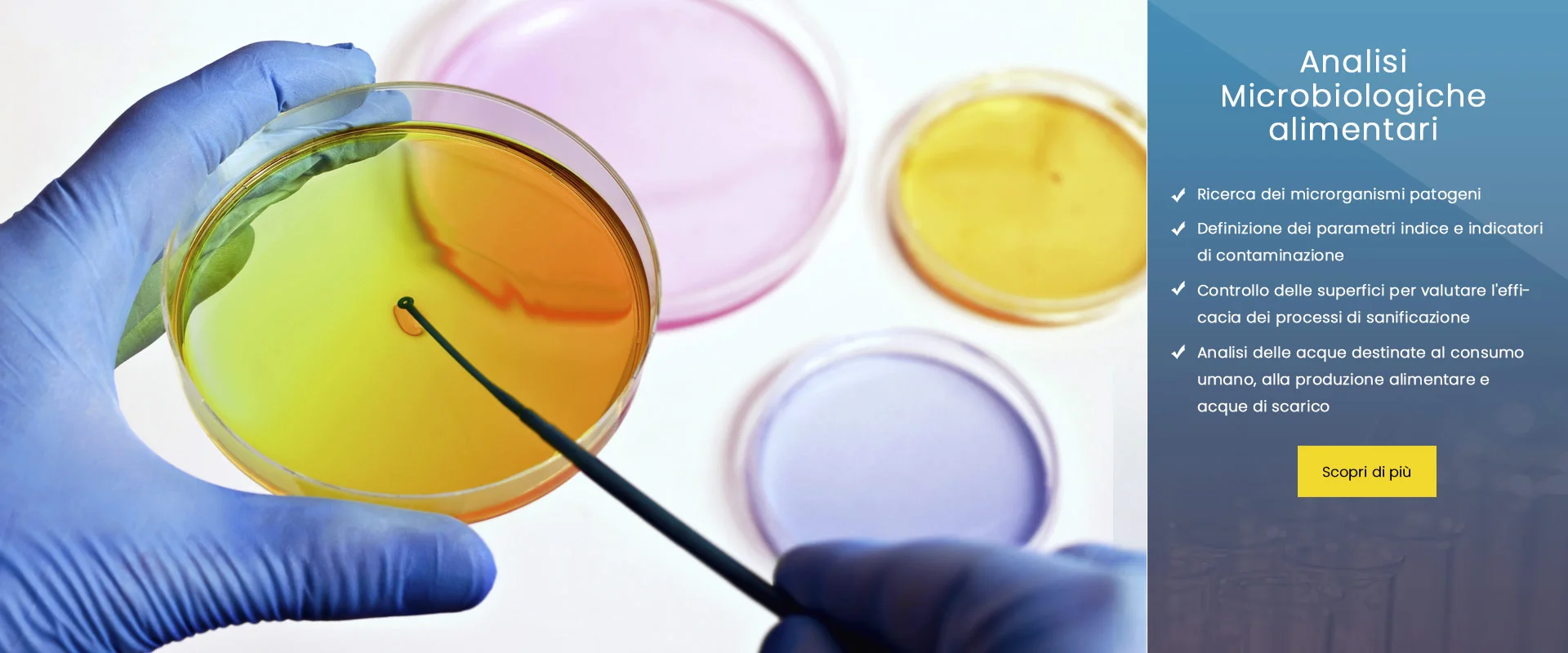 analisi microbiologiche alimentari